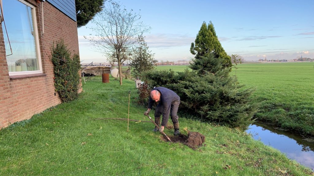 Fruitbomen planten AOF